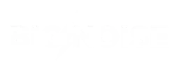 bignoise-logo